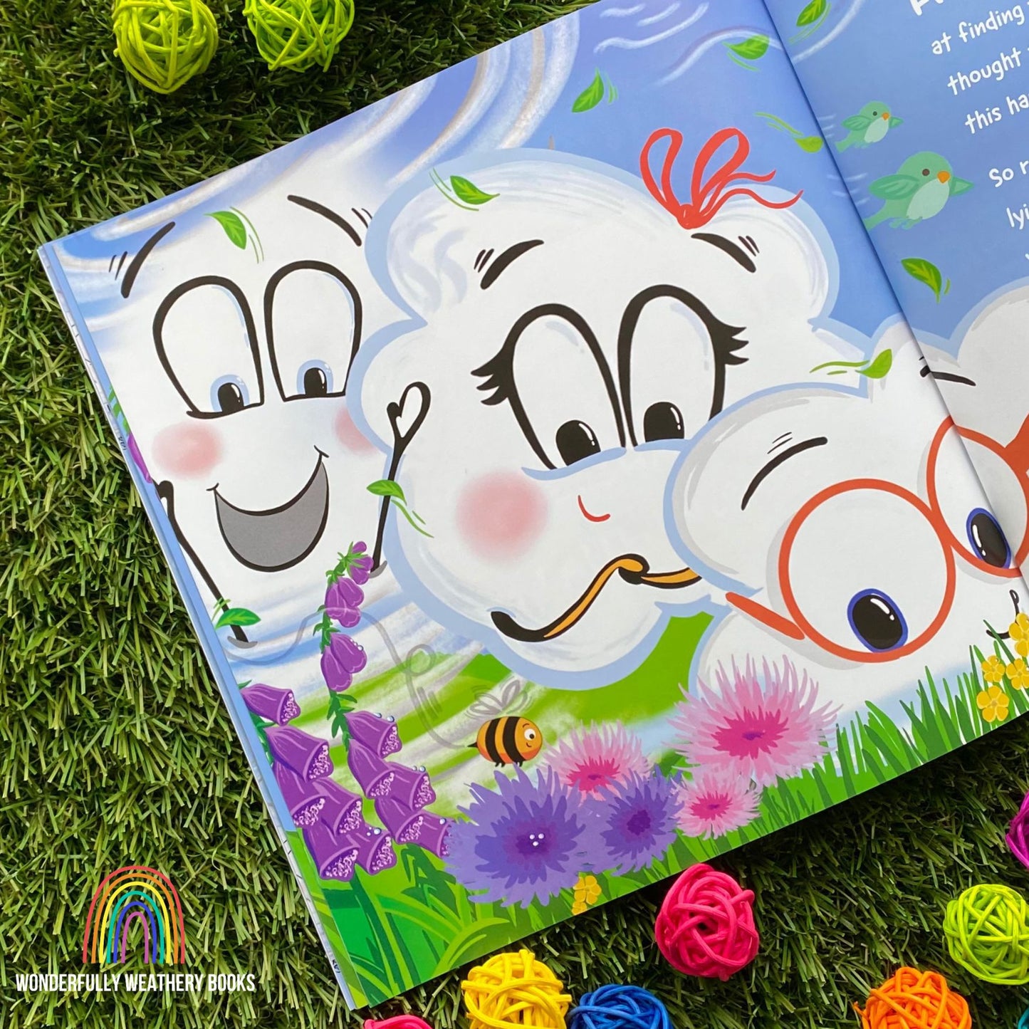 Chloe Cloud & The Friendly Fog Book