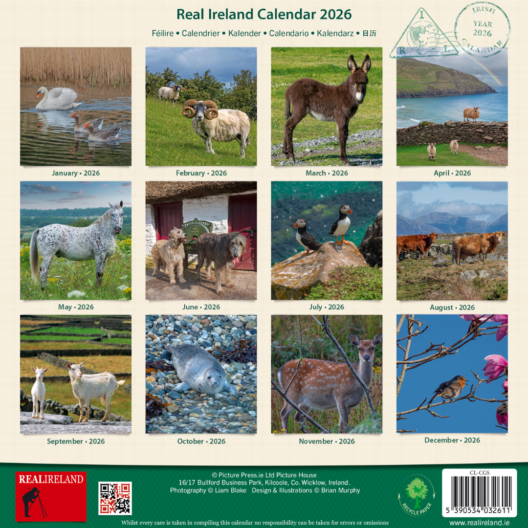 Irish Creatures Great & Small Calendar 2026