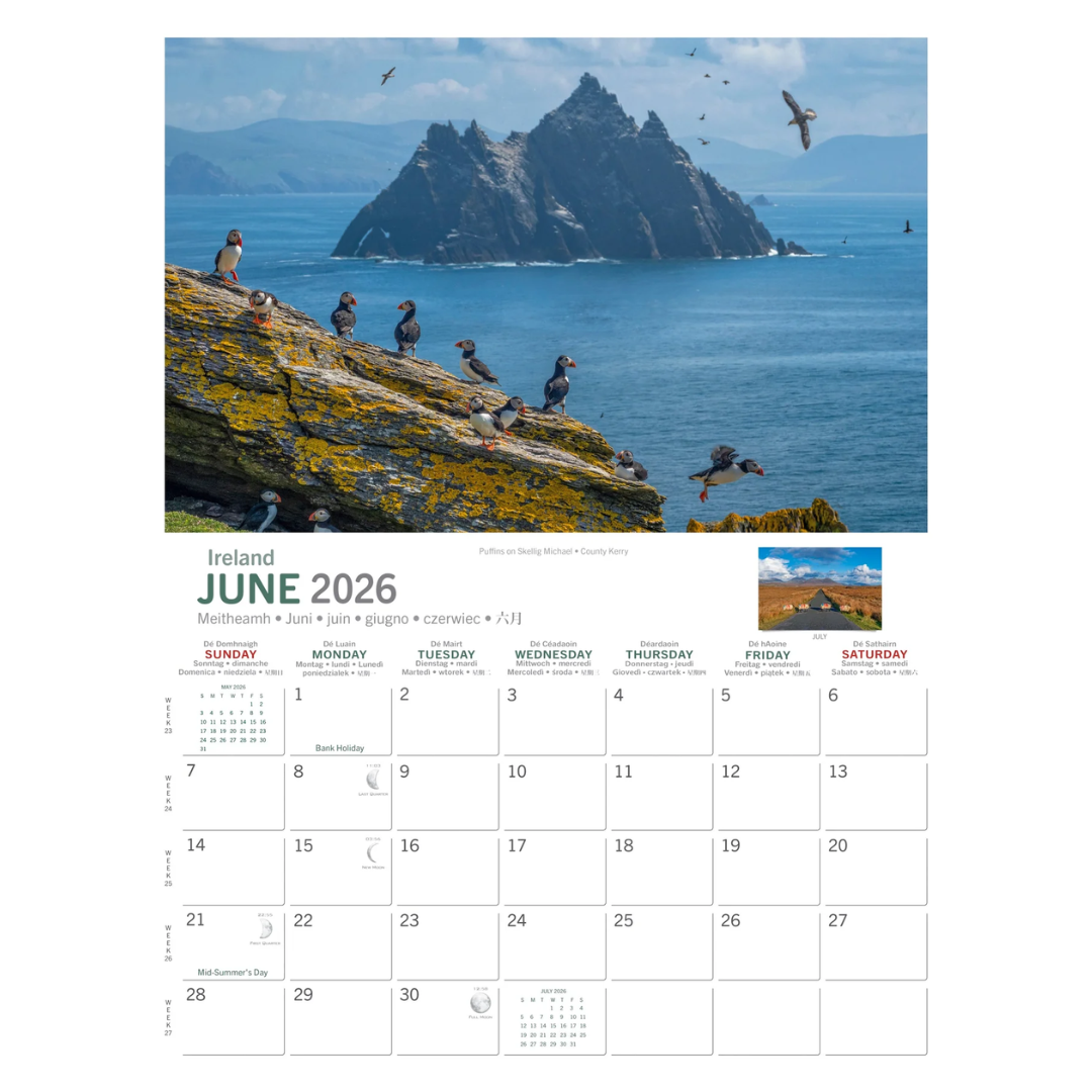 Wild Ireland Calendar A4 2026