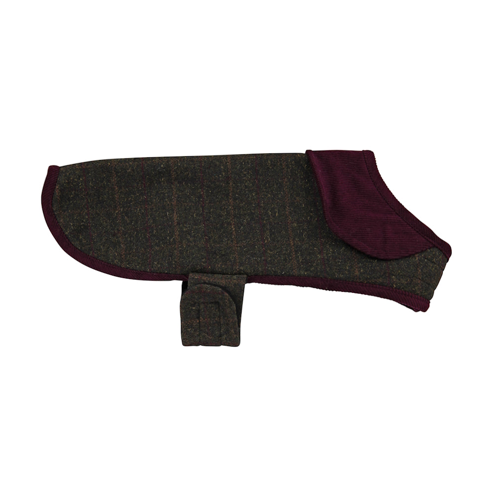 Dark fabric dog coat with maroon trim and velcro strap