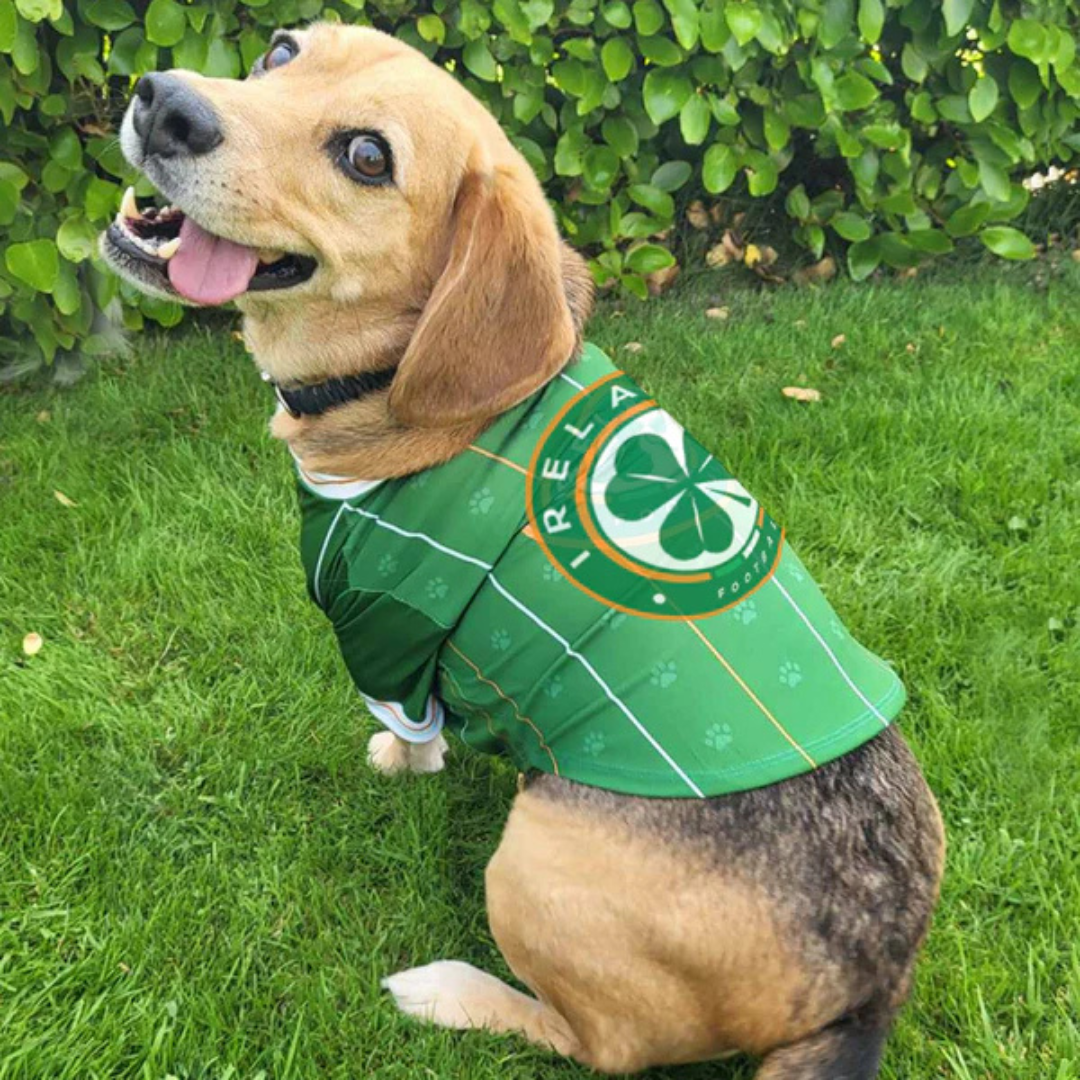 FAI Pet Jersey
