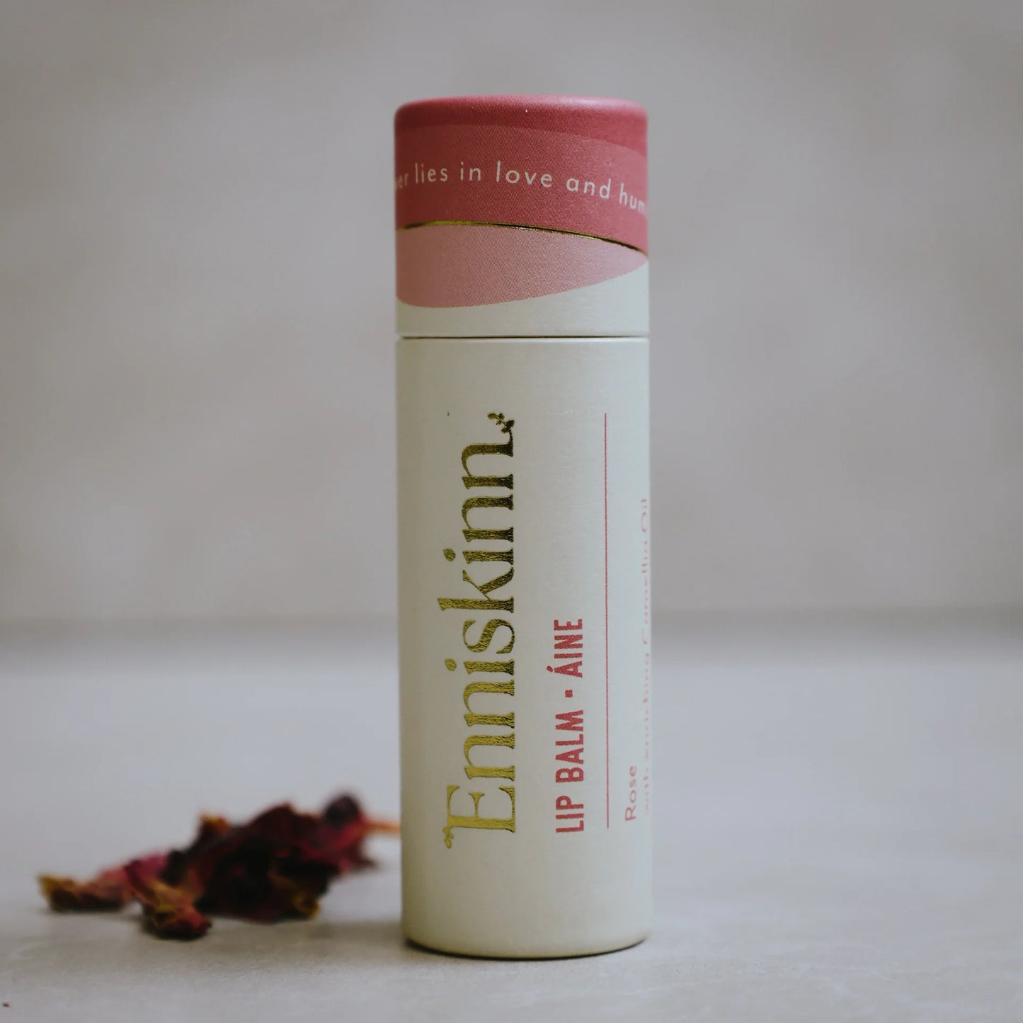 LIP-AINE-1
