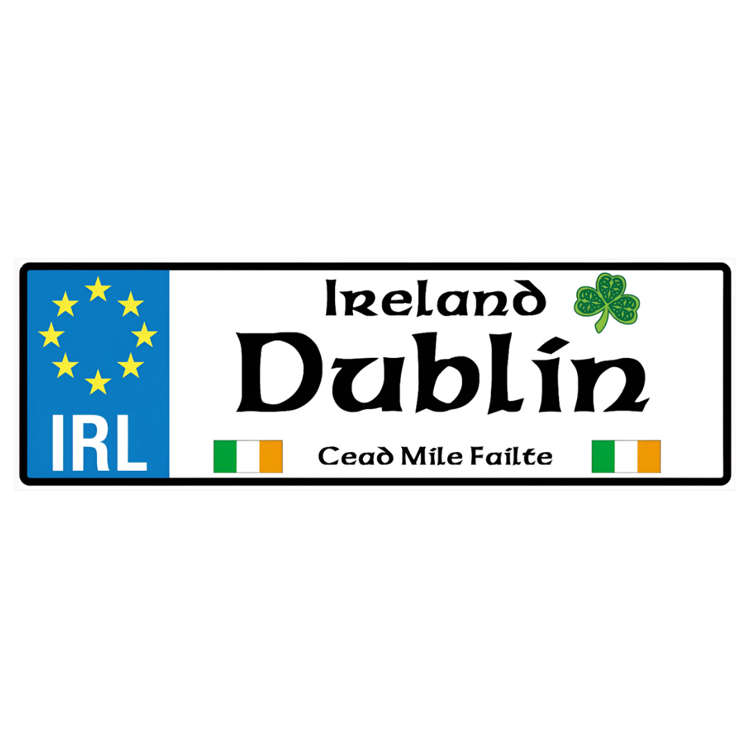 Embossed Metal Dublin Reg. Plate Magnet