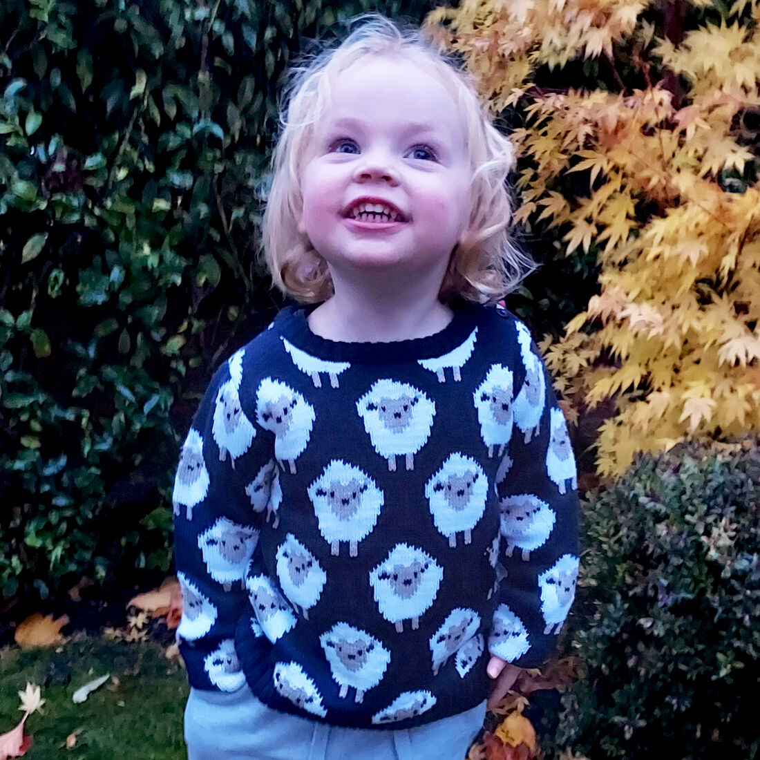 Kids All Over Sheep Pattern Jumper Navy