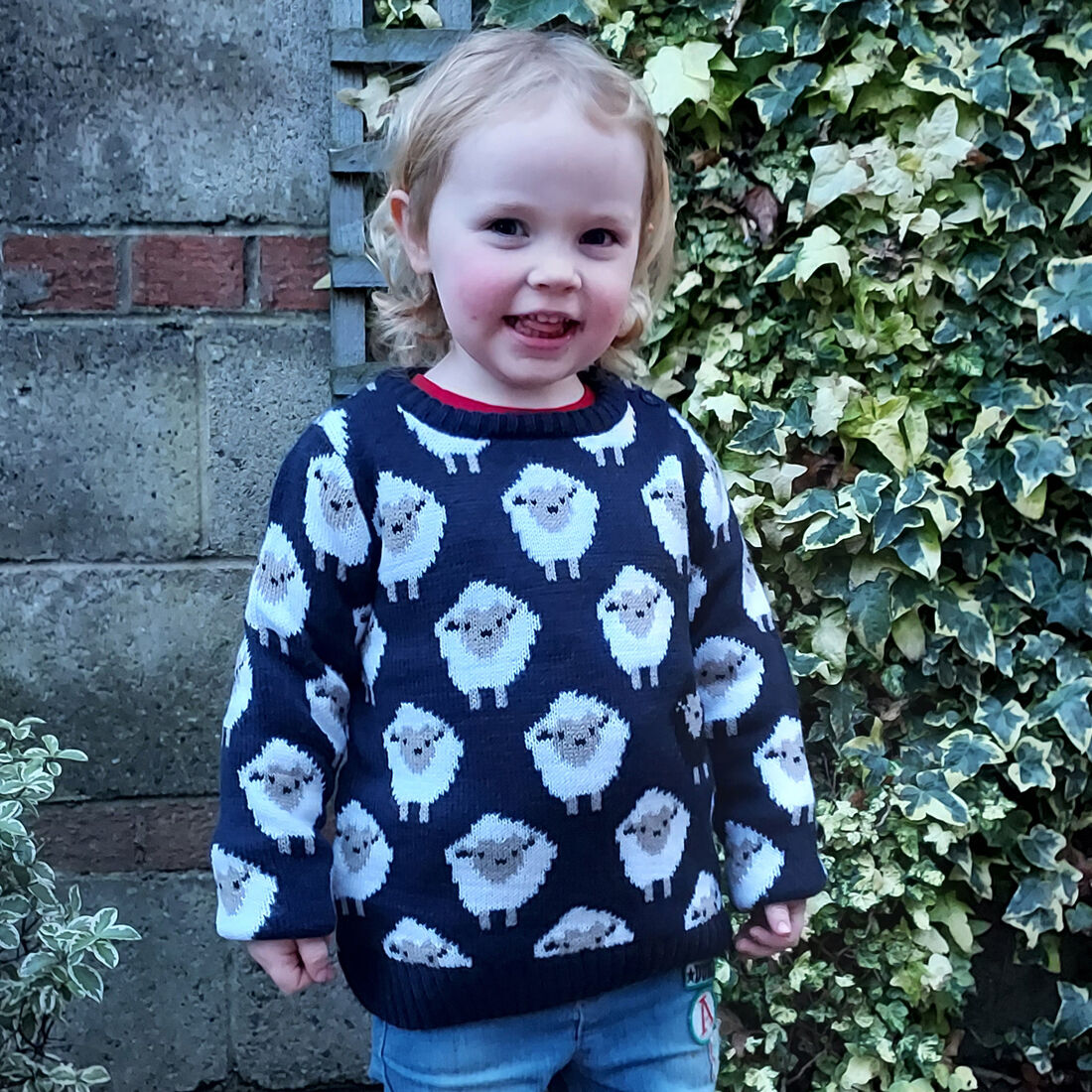 Kids All Over Sheep Pattern Jumper Navy