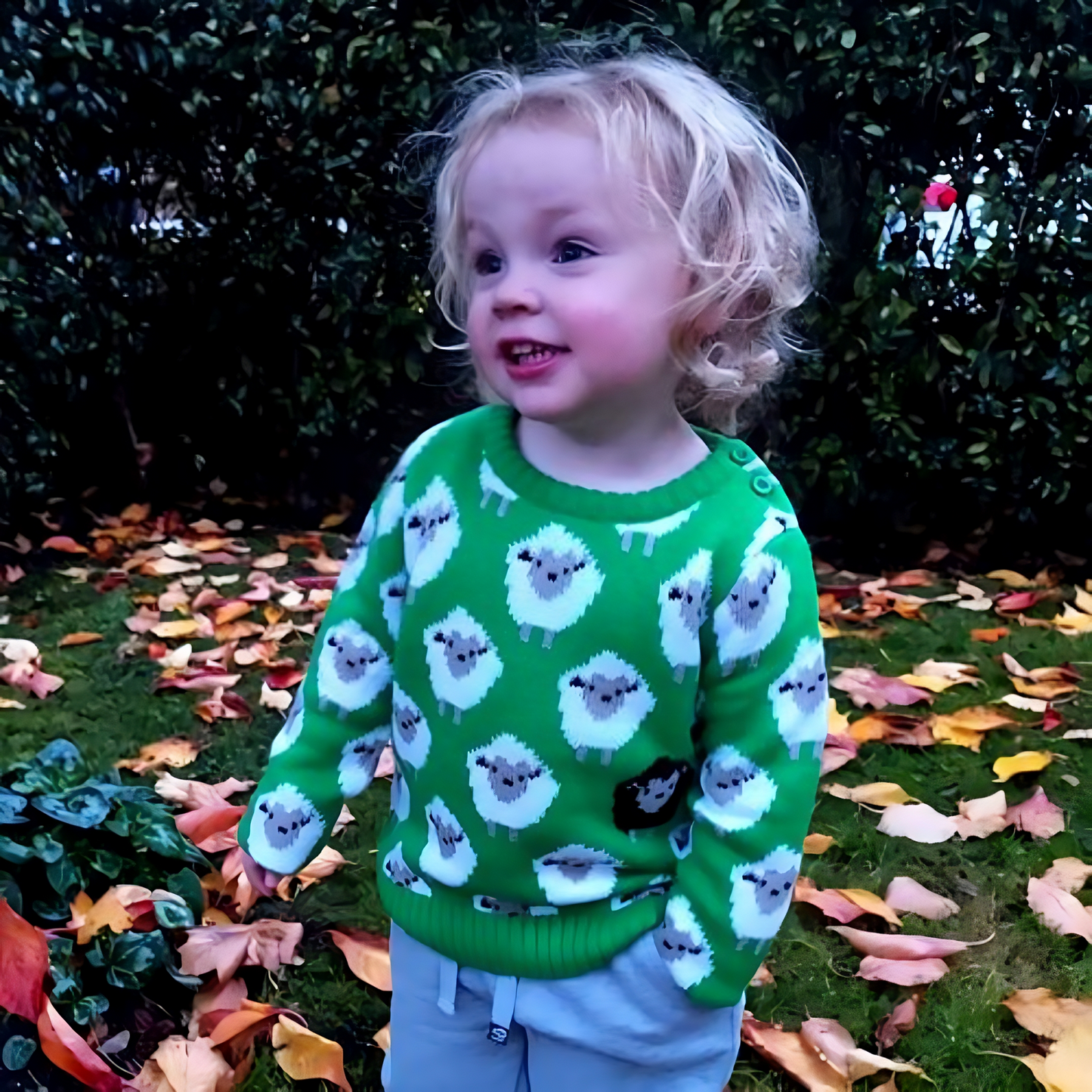 Kids All Over Sheep Pattern Jumper Green
