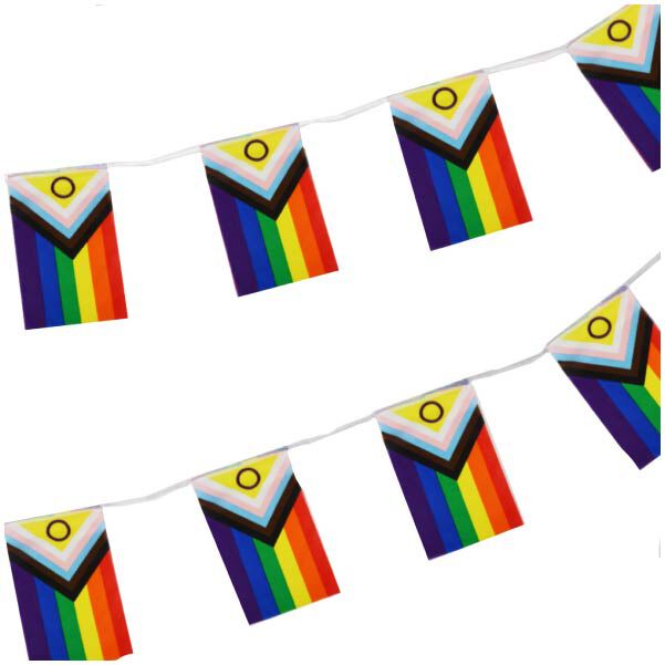 Pride Progress Intersex Bunting