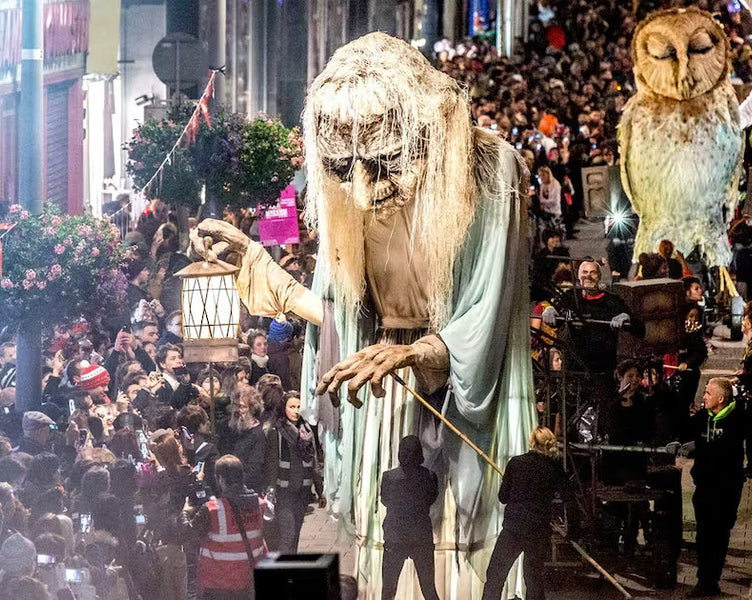 Bran Stroker Parade in Dublin