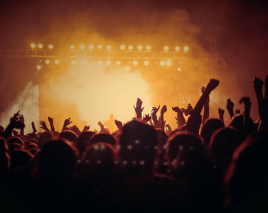 Image of crowd dancing at concert