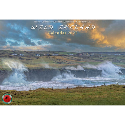 Wild Ireland Birds Eye View A4 Calendar 2027