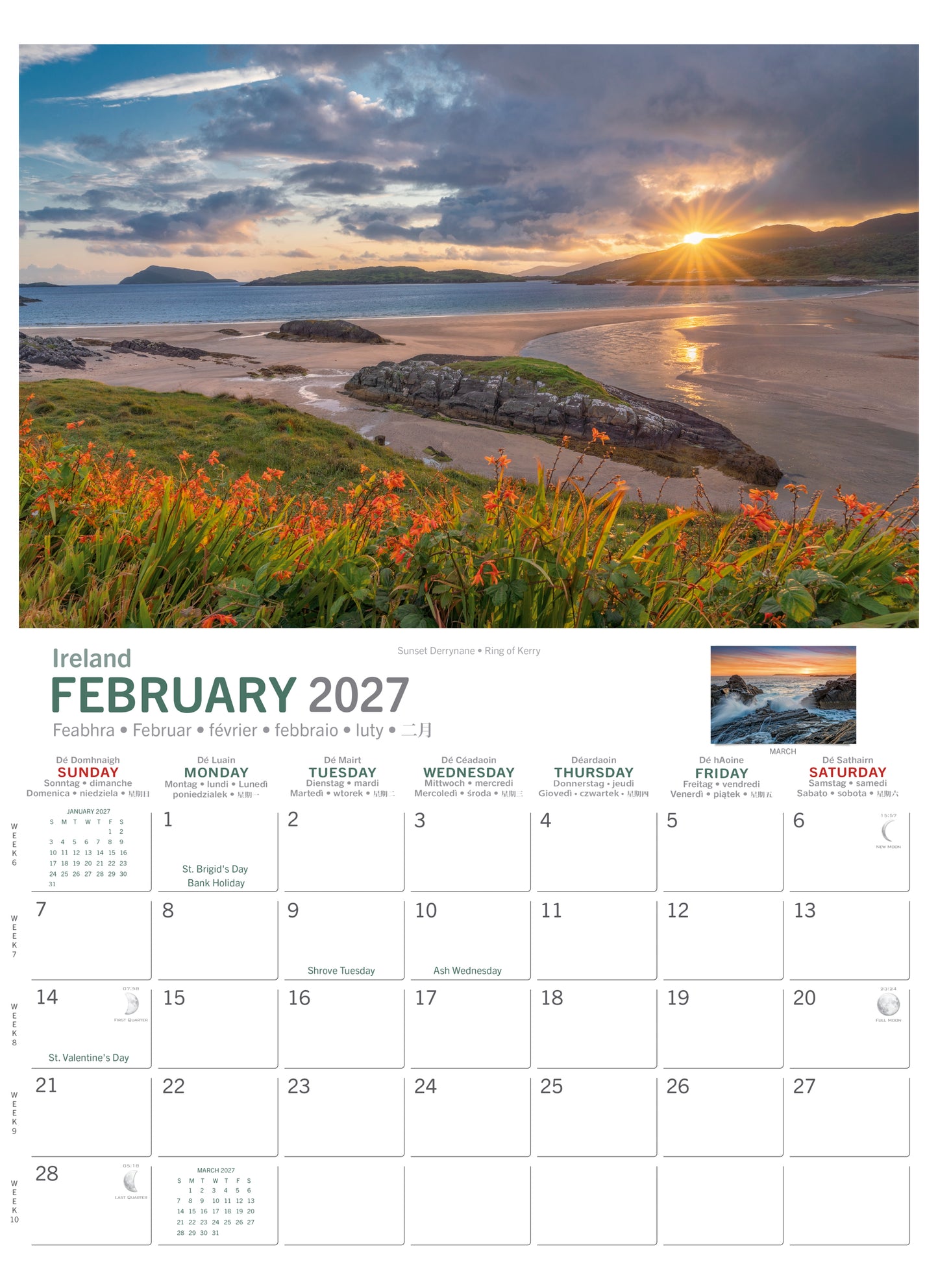 Sunset over a rocky Atlantic coastline with orange flowers in the foreground