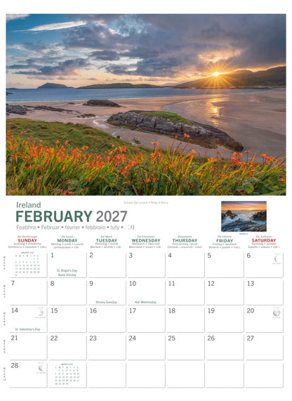 Sunset over a rocky Atlantic coastline with orange flowers in the foreground