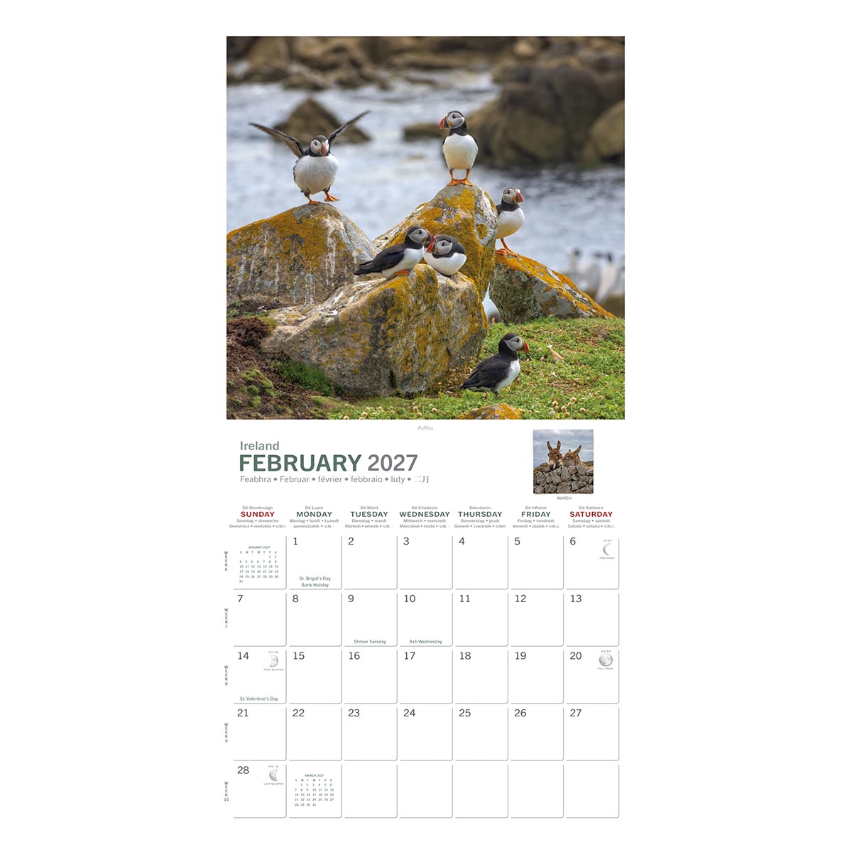 Puffins perched on orange lichen rocks along the coast for February 2027 calendar page