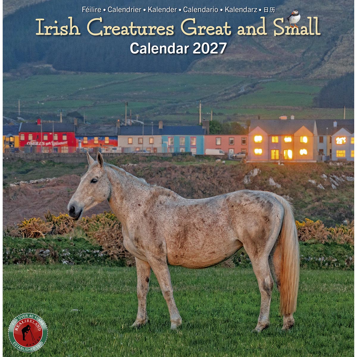 Horse standing in a green field with a colorful town behind on the Irish Creatures Great and Small Calendar 2027 cover