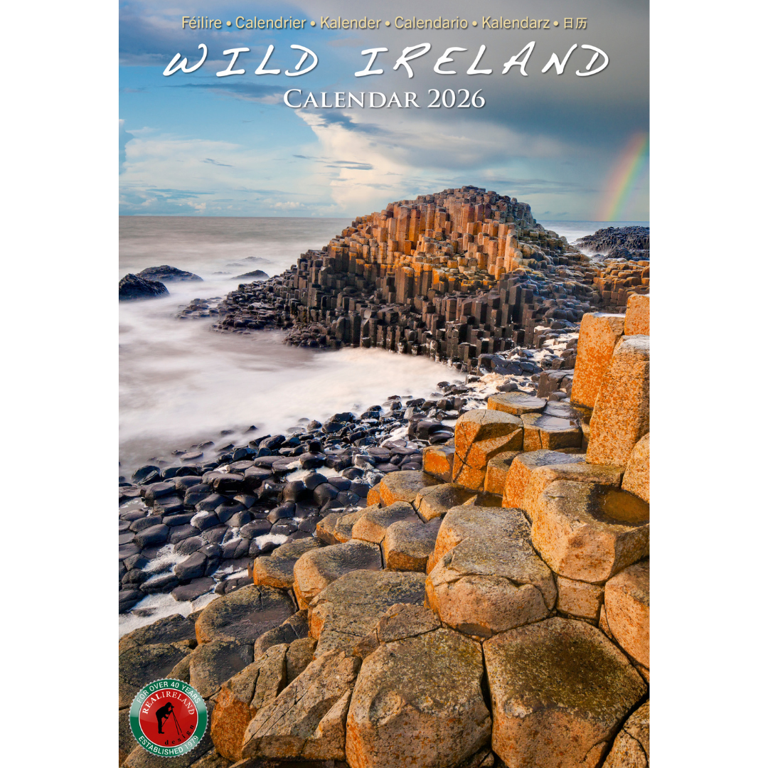 Wild Ireland Scenic Views Slim Calendar 2026