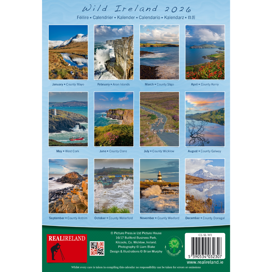 Wild Ireland Scenic Views Slim Calendar 2026