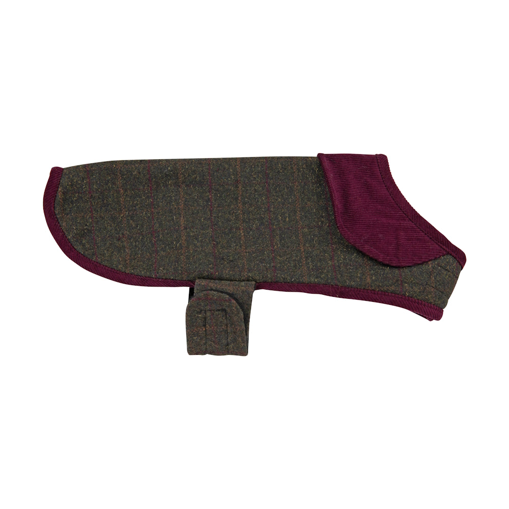 Brown and burgundy dog coat with strap and collar detail