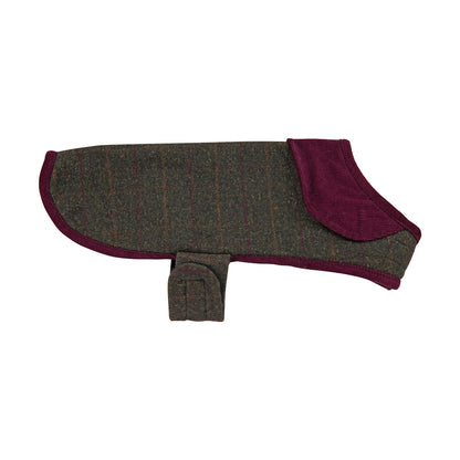 Brown and burgundy dog coat with strap and collar detail