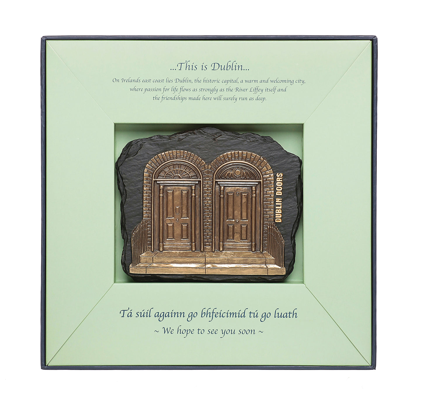 Dublin Doors Plaque