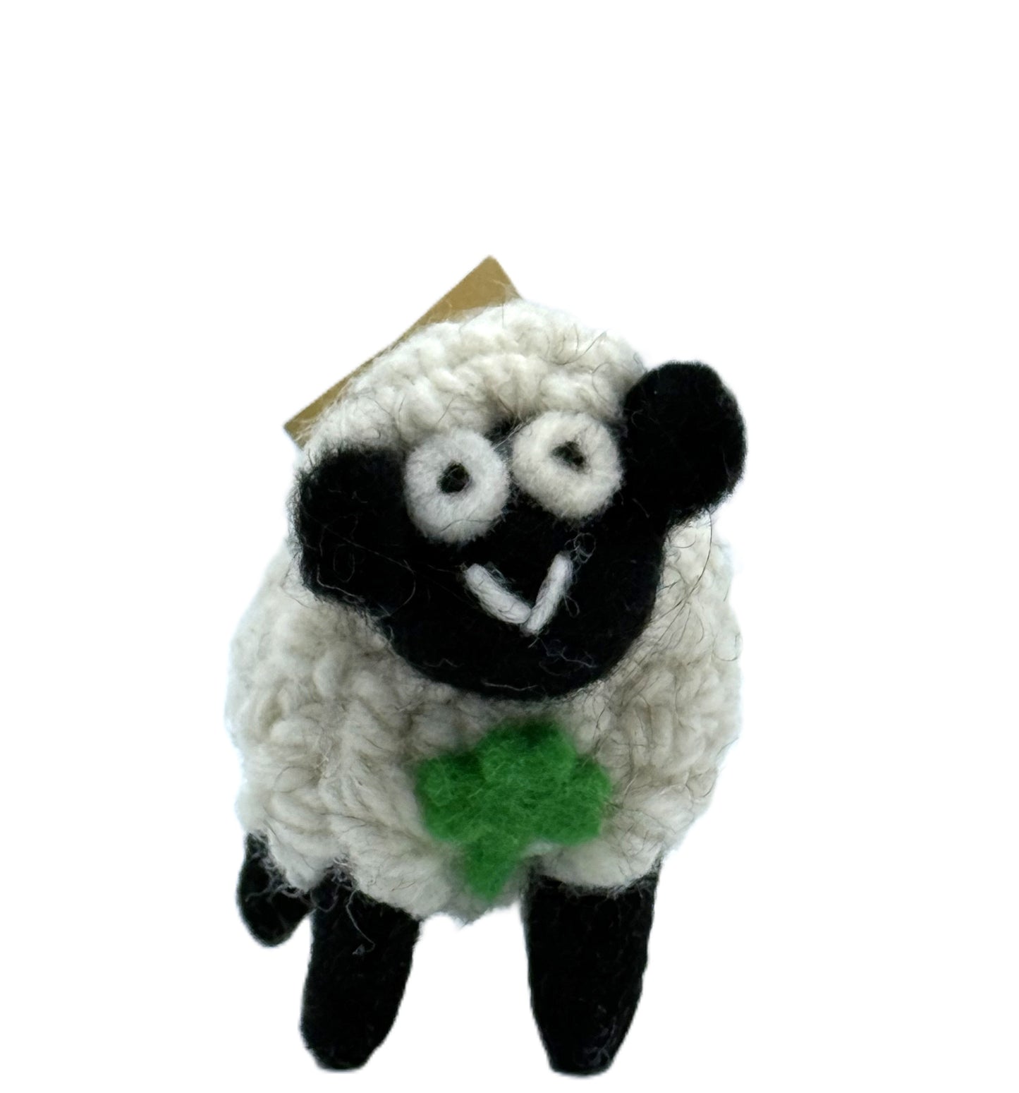 Small Black Faced Sheep with Hair