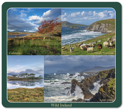 Wild Ireland Image Table Coasters
