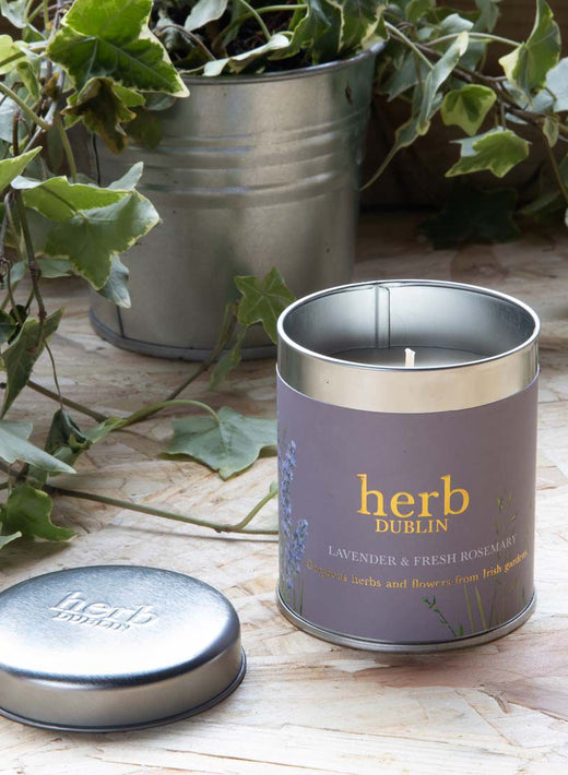 Lavender and rosemary scented candle in metal tin with plant background