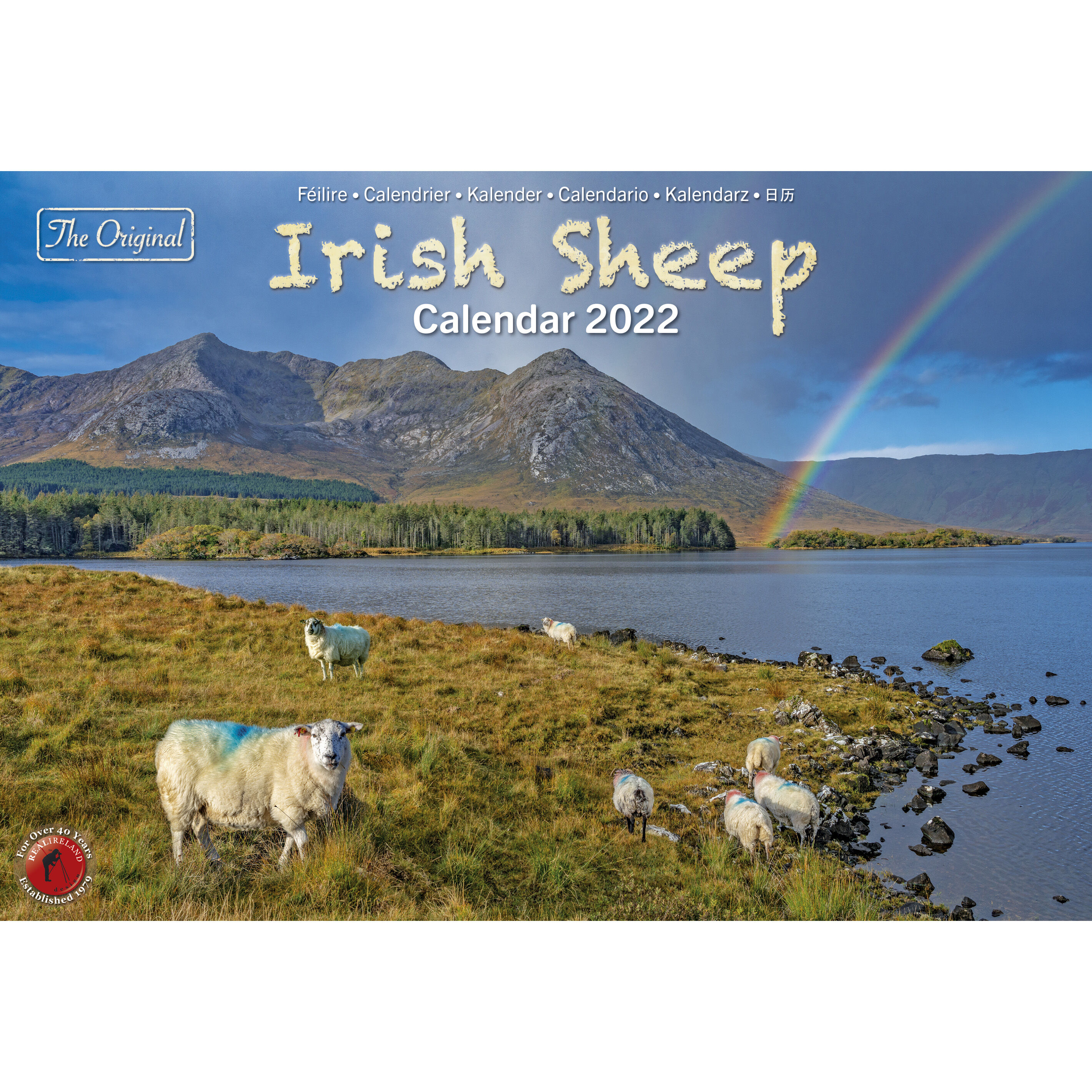 Buy A4 Irish Sheep 2022 Calendar By Liam Blake | Carrolls Irish Gifts